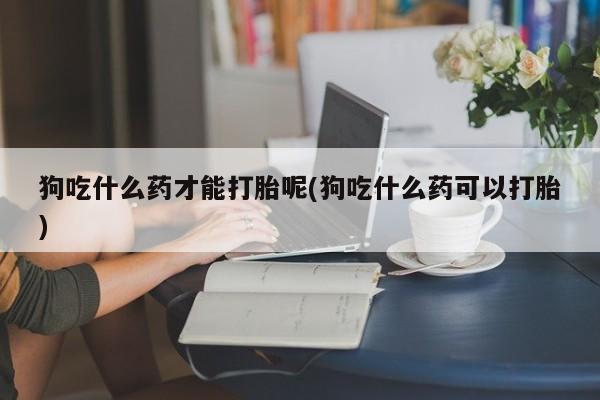 网上哪里可以买米非和米索，狗吃什么药才能打胎呢(狗吃什么药可以打胎)