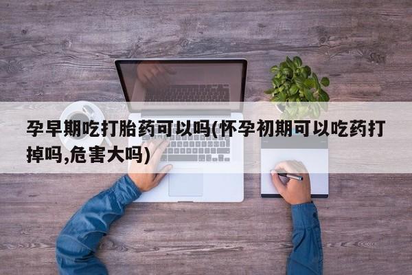 网上哪里可以买米非和米索，孕早期吃打胎药可以吗(怀孕初期可以吃药打掉吗,危害大吗)