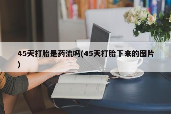 admin 第923页
