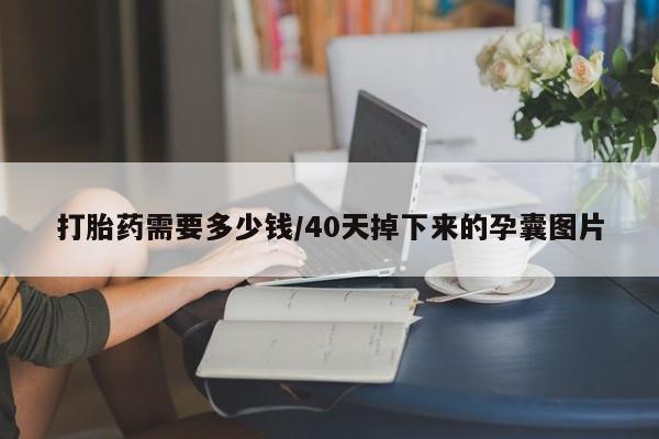 网上哪里可以买米非和米索，打胎药需要多少钱/40天掉下来的孕囊图片